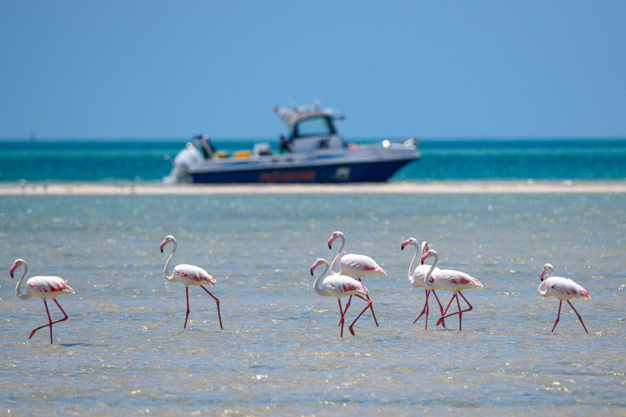 וילנקולוס Ocean Pearl Beach Lodge מראה חיצוני תמונה