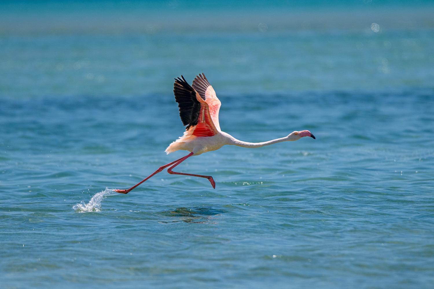וילנקולוס Ocean Pearl Beach Lodge מראה חיצוני תמונה
